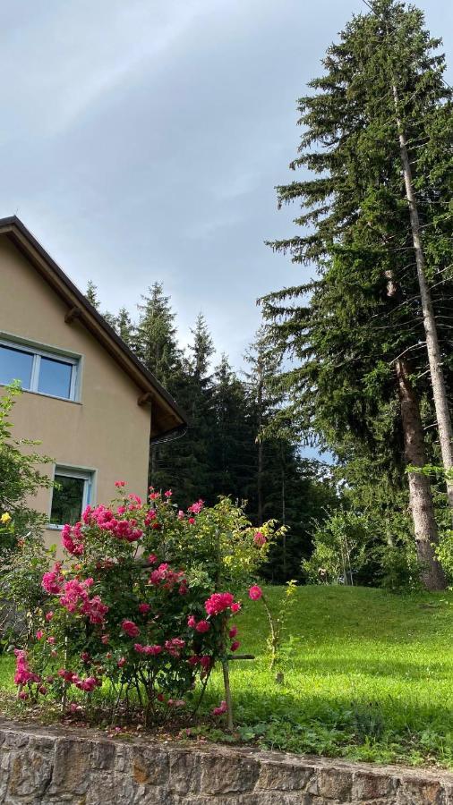 Apartmaji Velikonja Ajdovščina Εξωτερικό φωτογραφία