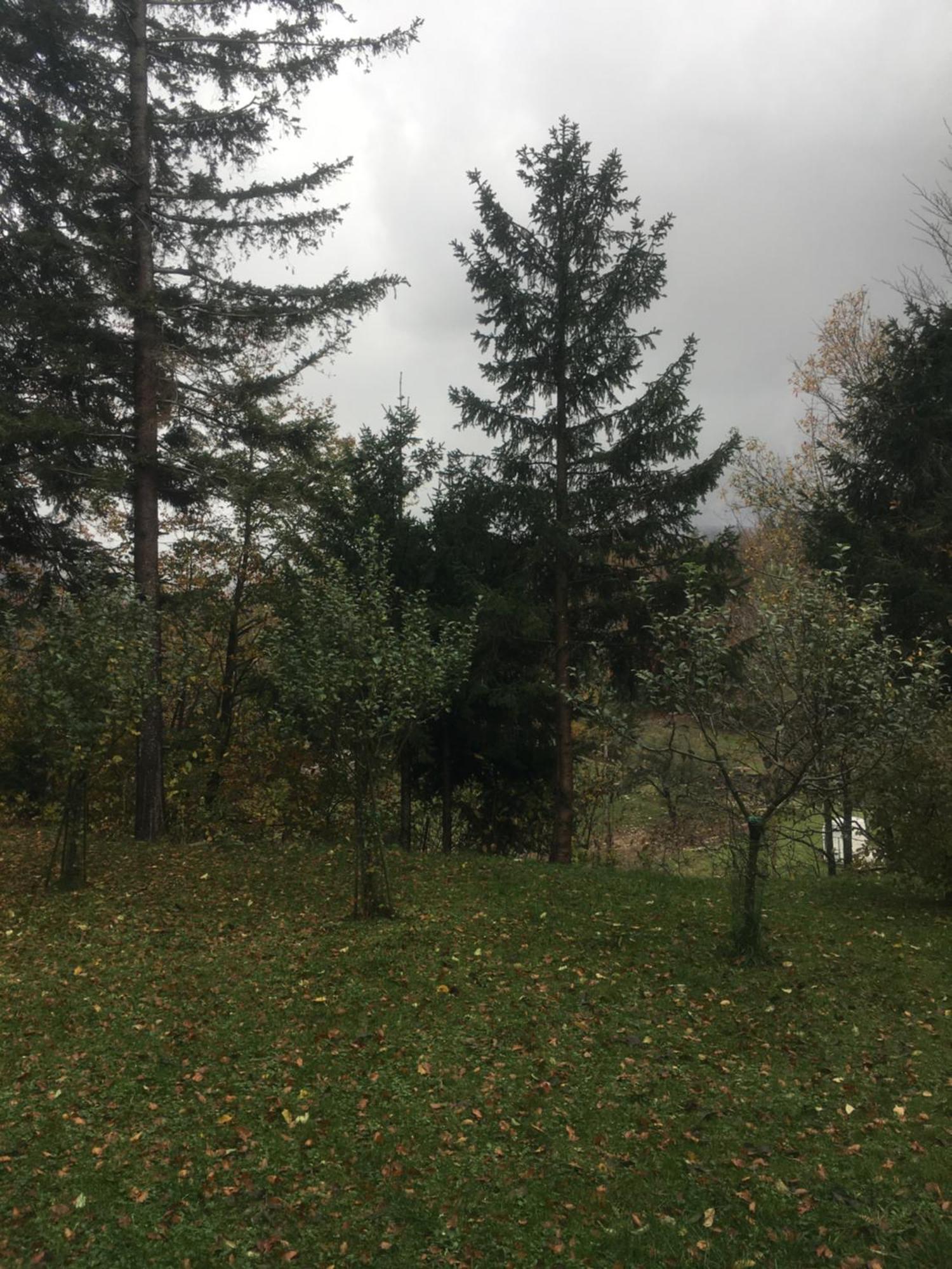 Apartmaji Velikonja Ajdovščina Εξωτερικό φωτογραφία